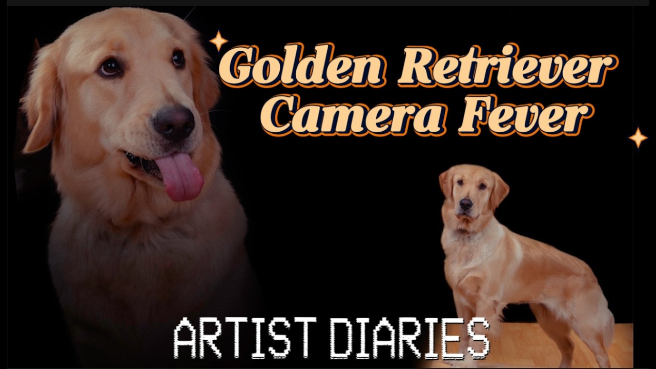 Behind the Scenes of a Golden Retriever Shoot: Laughs & Mishaps