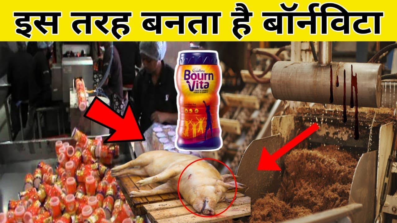 कैसे बनता है Bournvita फैक्ट्रियों में || Bournvita making process in factory in Hindi