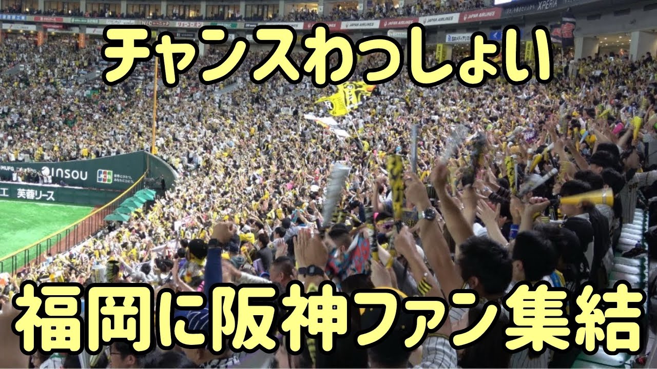 阪神ファンがPayPayドームを支配‼️大声量のチャンスわっしょいがエグ過ぎる⚾️2025.10.25⚾️ホークス対阪神