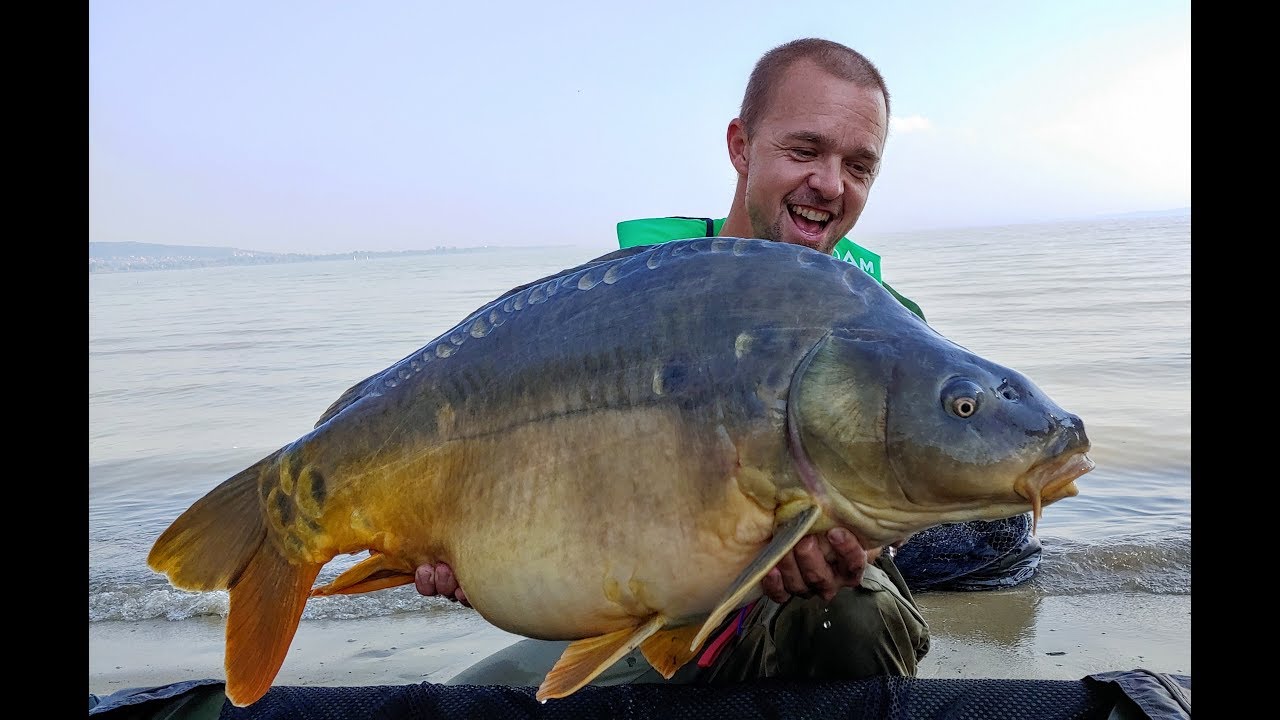 Balaton Top jezero pro rybaření velkých kaprů 19+