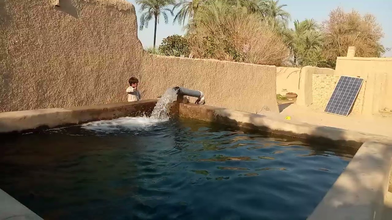 irrigation (watering) was not good. Now it has been corrected and proper water is being supplied