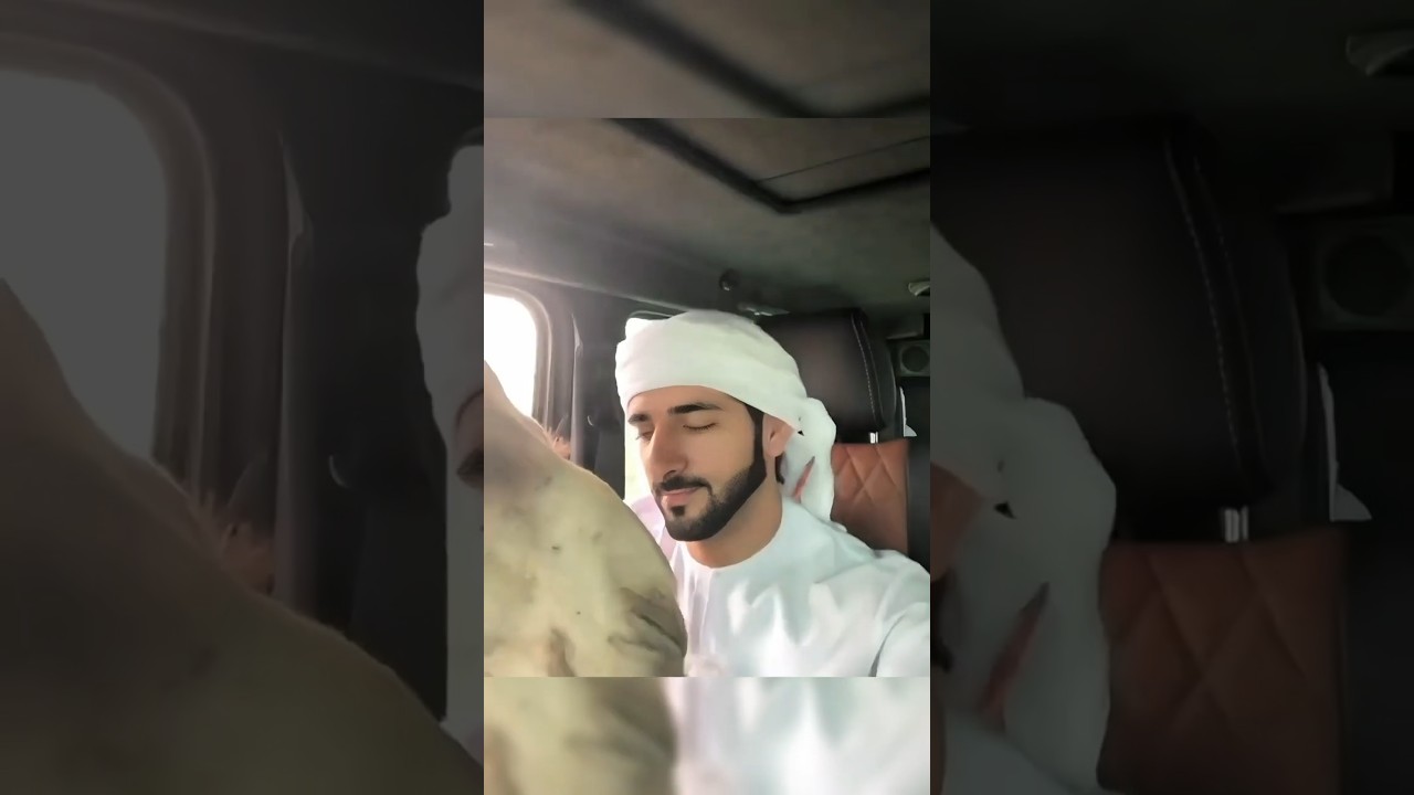 Prince Fazza with his favorite Camel | Sheikh Hamdan | Dubai luxury lifestyle and penthouse | Faz3