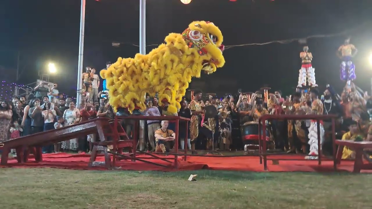 Tangra Chinese Festival | Part 38