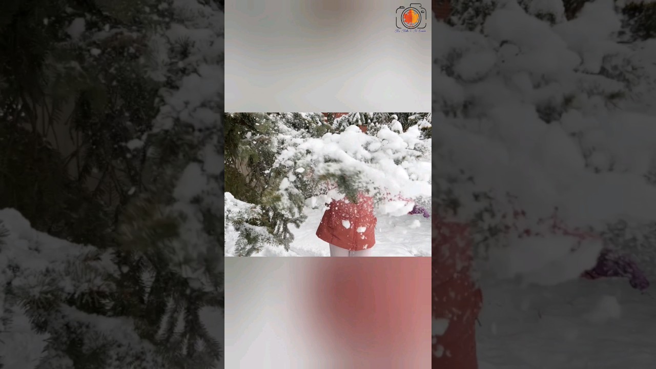 #snowfall #snow #slowmo #wow #canada #canadamallu #mallu #shortsvideo