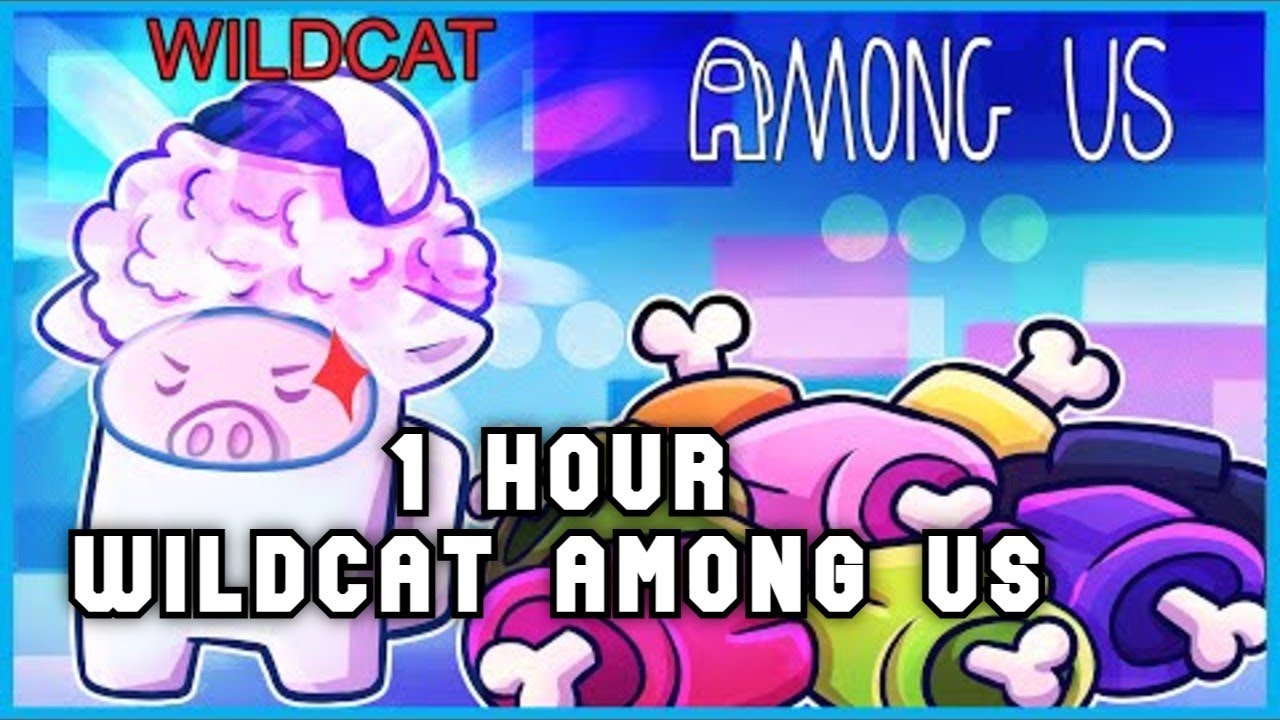 Wildcat Among Us Compilation #3 - 1 Hour (almost) - VanossGaming Compilation (No Sponsors)