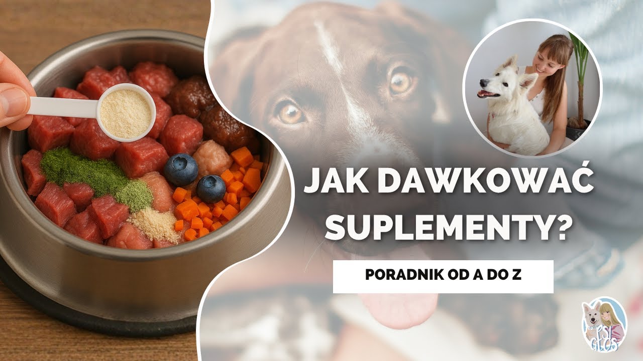 Jak dawkować suplementy dla psa?