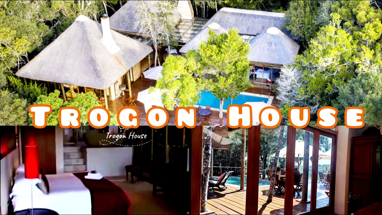 South Africa  🇿🇦 Trogon House & Forest Spa is a destination in its own✈😎 | Amapiano sound