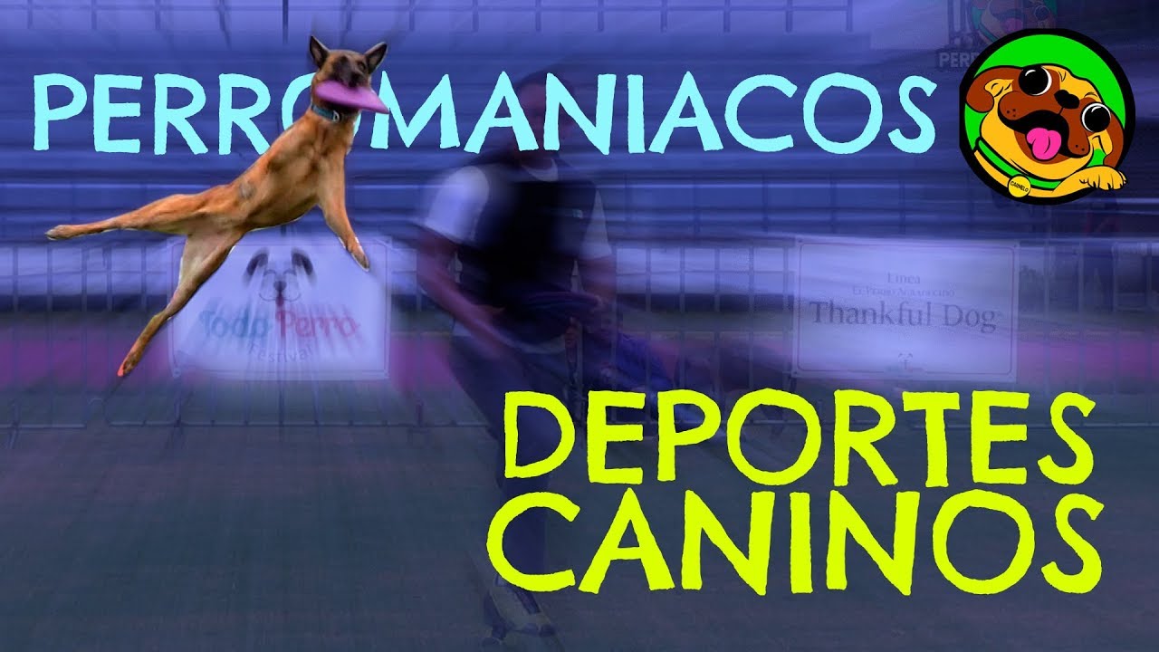 DEPORTES CANINOS