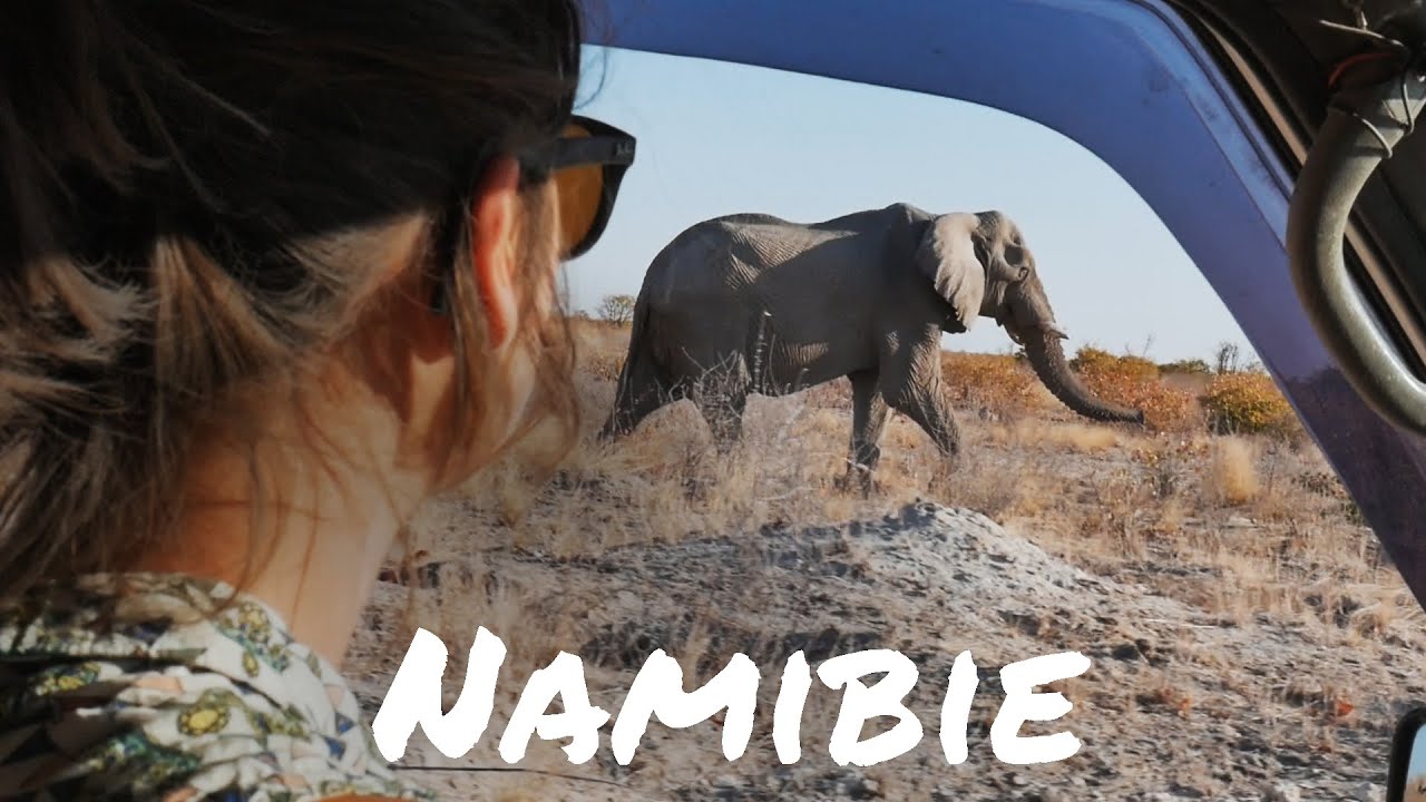 #61 Safari avec notre van 4x4 en Namibie (Etosha)