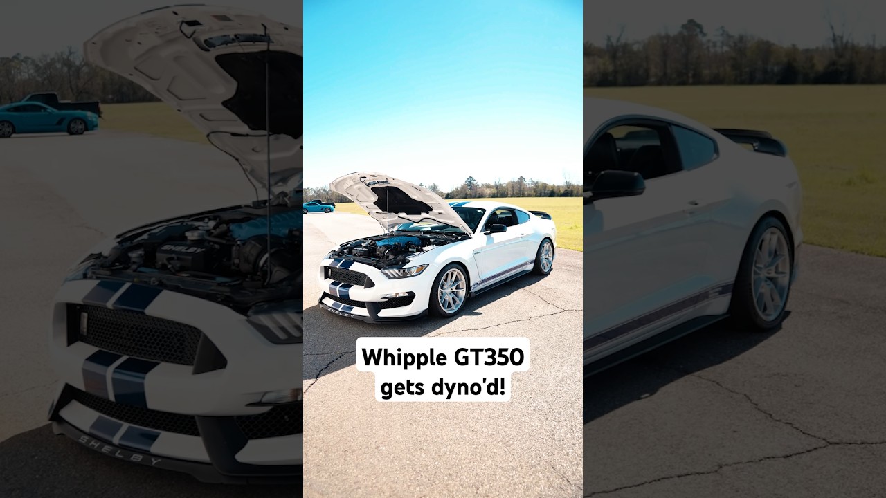 How Much Power will a Whipple'd GT350 Make?