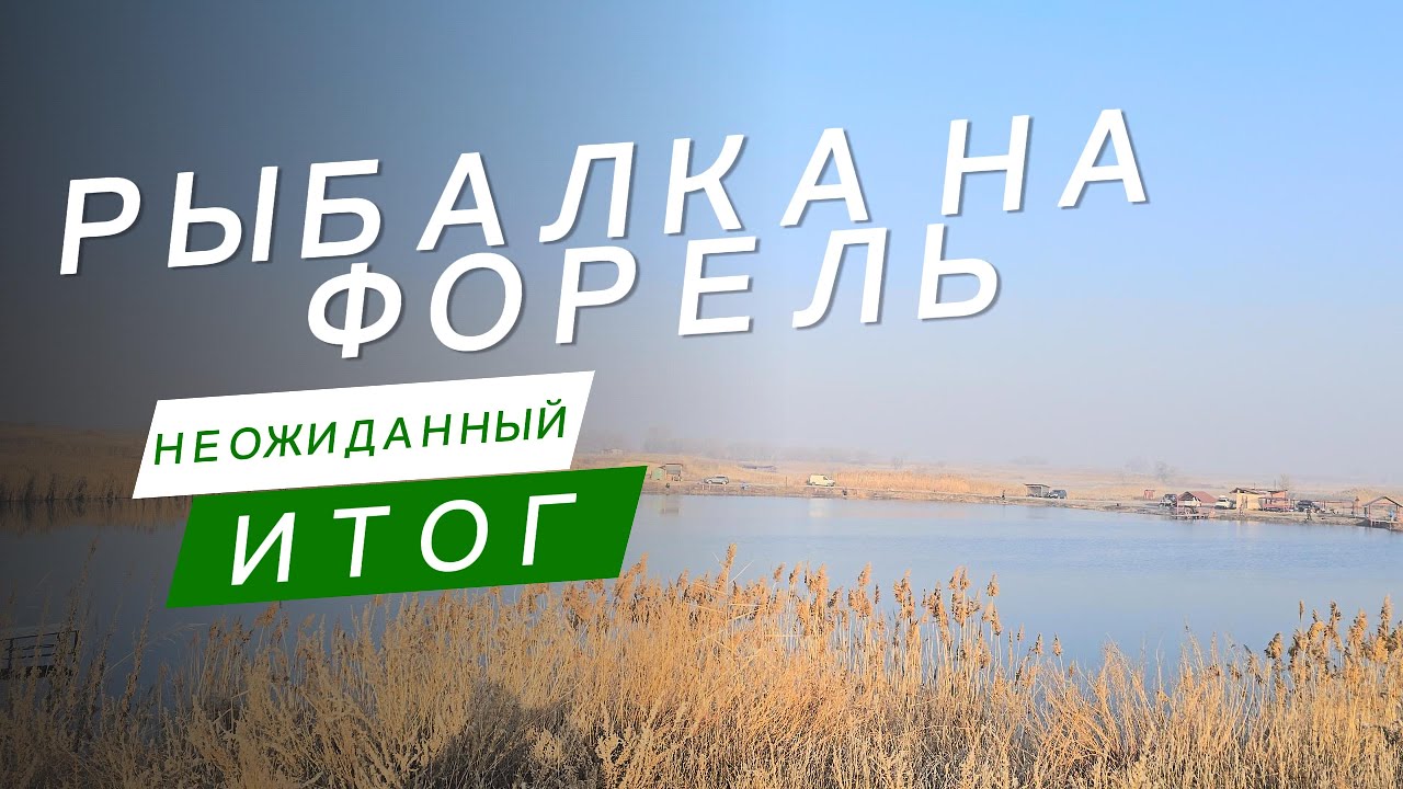 ШОК!!! Ехали за Форелью, а разбудили ЕГО!!!