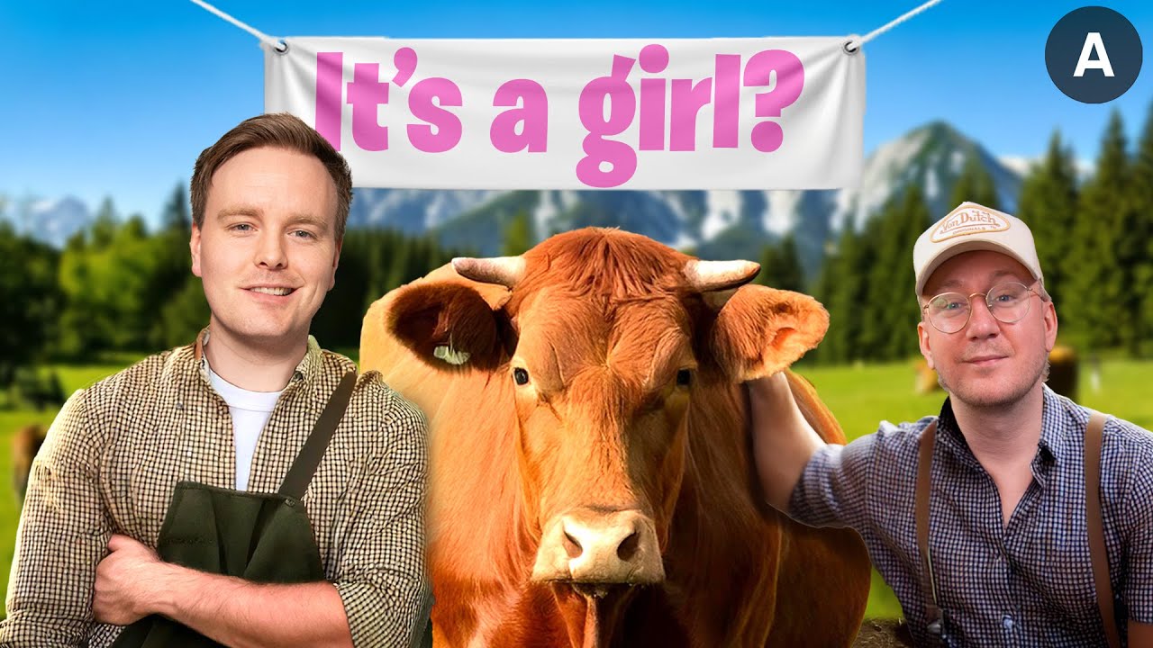 Ranchen blir større! Er det en kalv på vei?? 🐄💙🩷