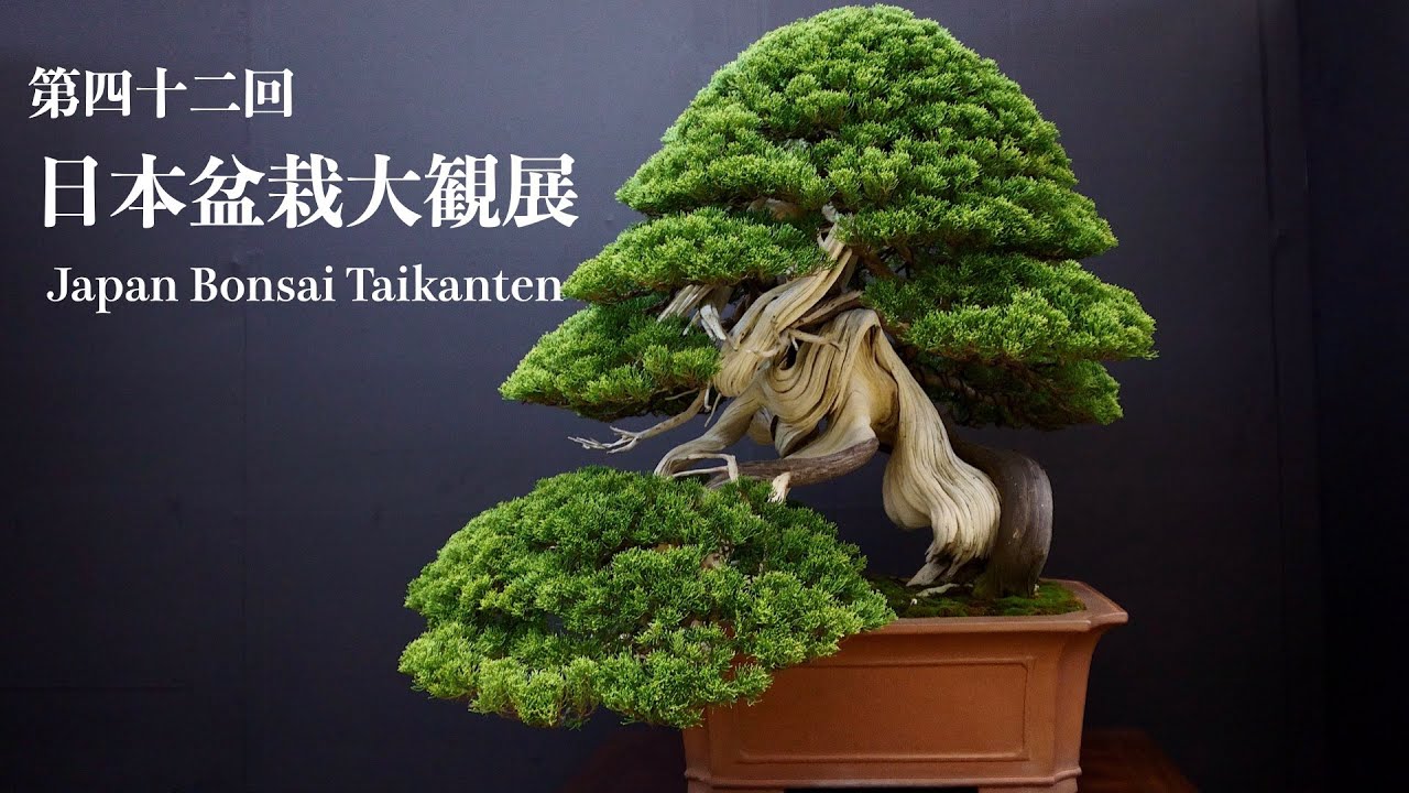 [4K ロング版] 大観展 全出品木紹介