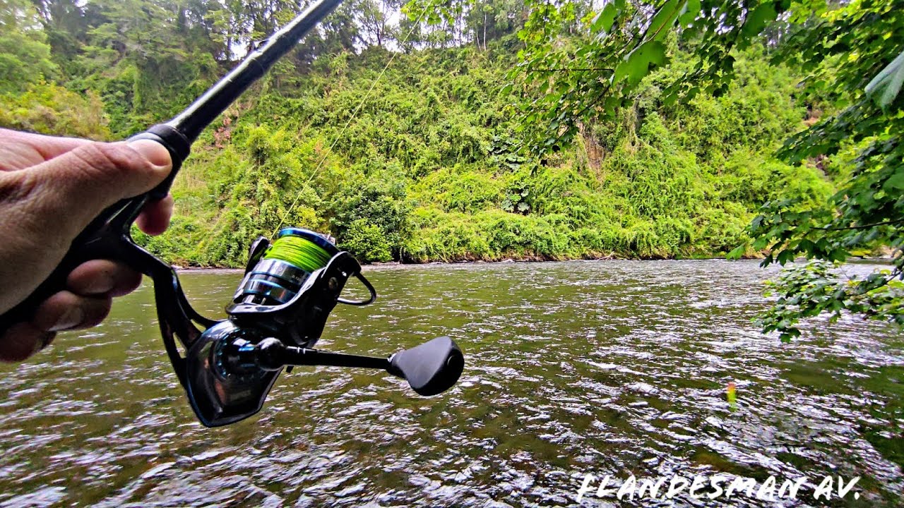 PESCA DE TRUCHA, DONDE LANZAR Y ENCONTRARLAS // Chile, Región de los Ríos // Flandesman Aventura.