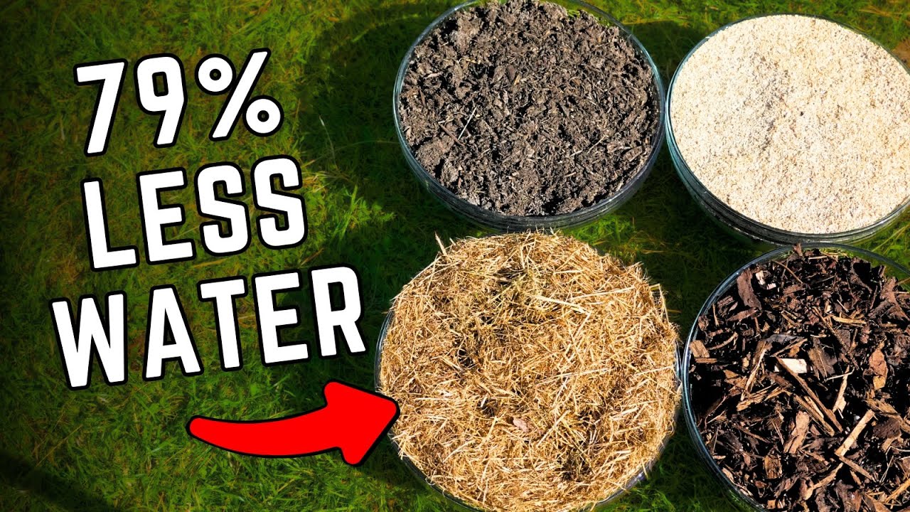 Which Garden Mulch Saves The Most Water?