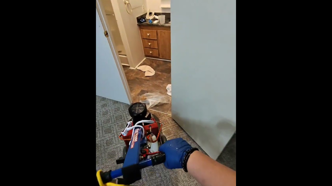 Vlm Carpet Cleaning for new owner 