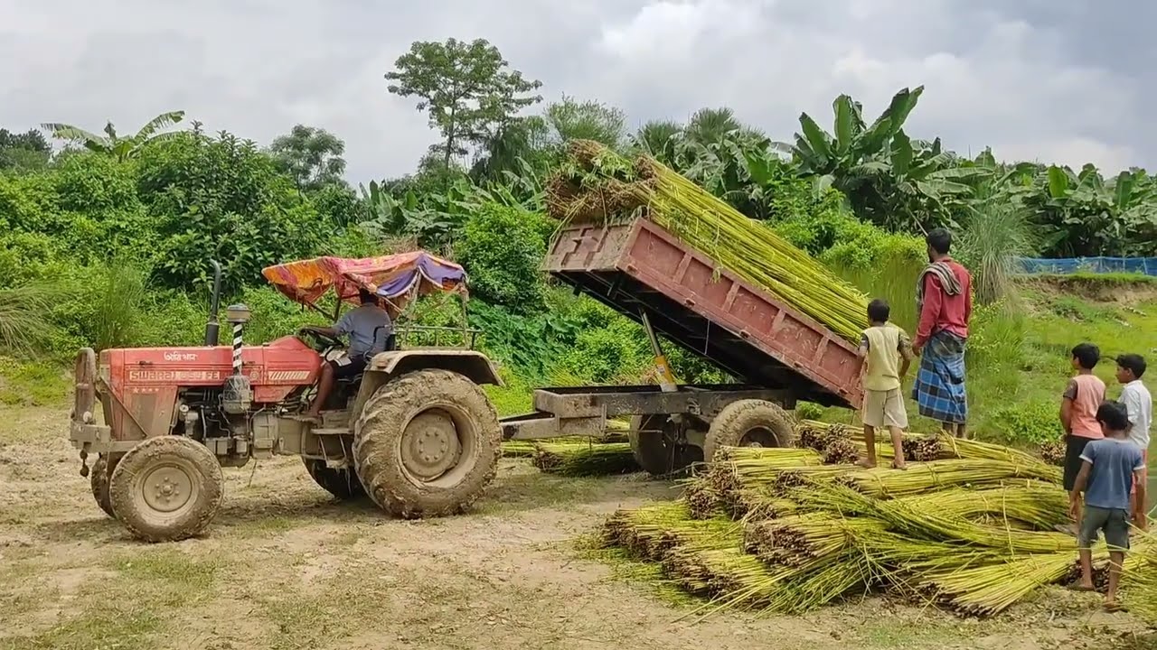 SONALIKA DI-47RX&SWARAJ#টেলার উলটে গিয়েছে full#ভিডিও#video😭😭😭😭😭