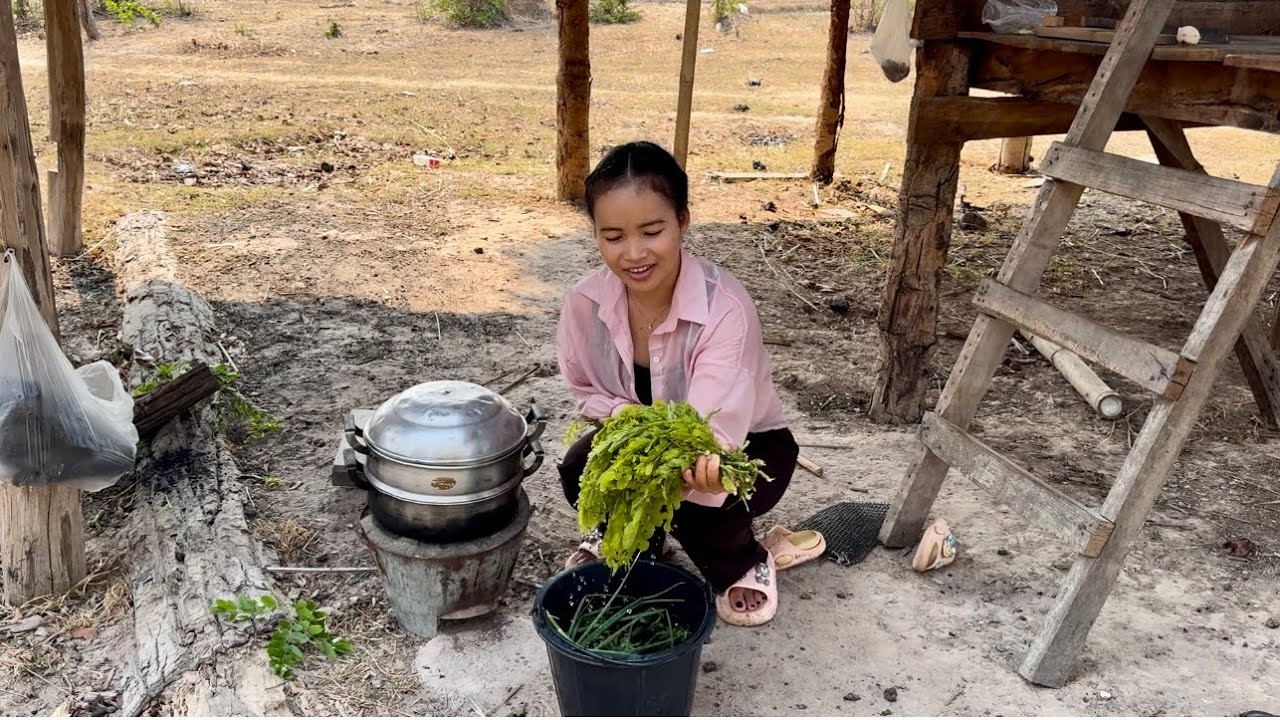 ป่นเห็ดฟางกินกับนึ่งผักอิฮุมป่า ປົ່ນເຫັດເຟືອງກິນກັບໜຶ້ງຜັກອິຮຸມປ່າ