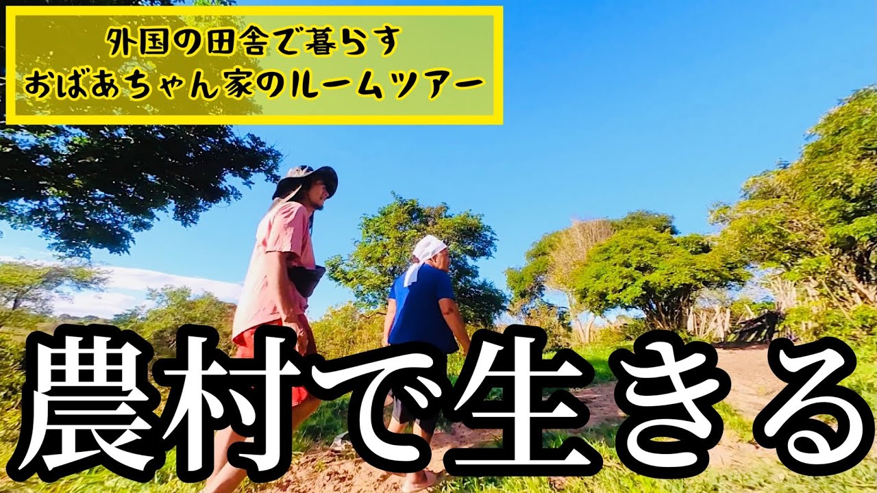 【ルームツアー】ブラジルの農村で暮らす60代女性のお家を訪ねる。