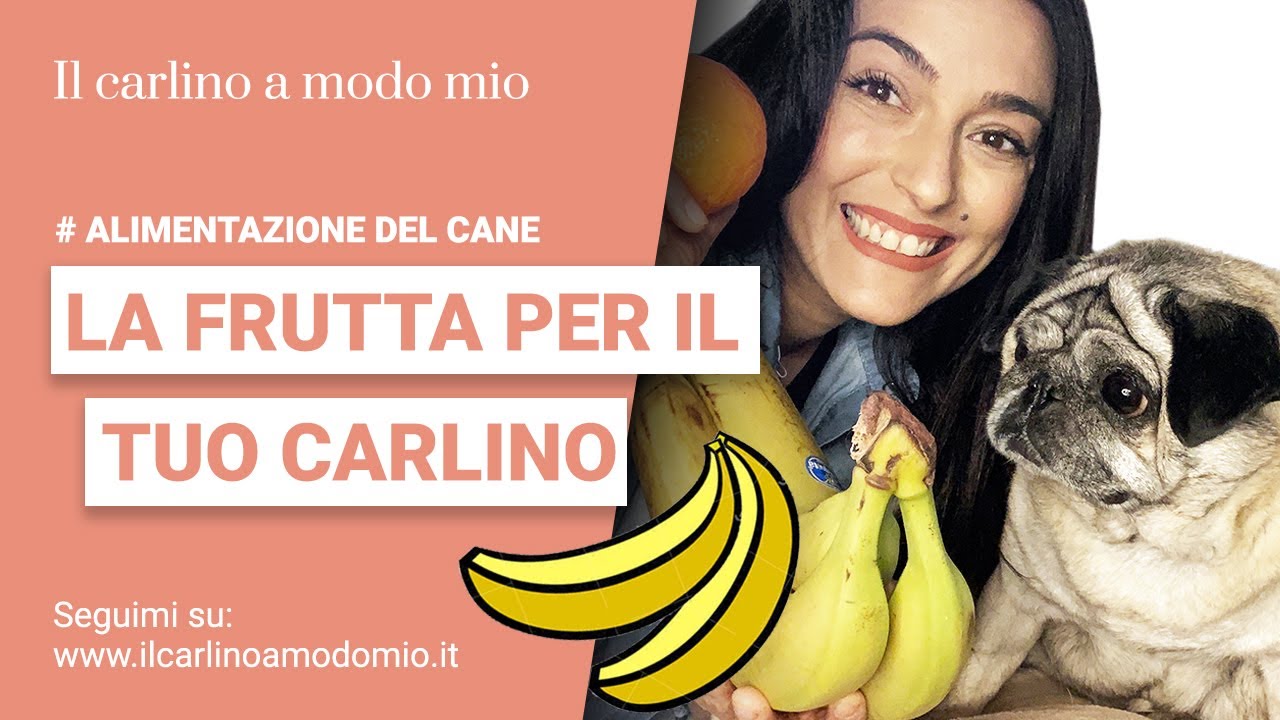La FRUTTA che fa bene al CARLINO | Il Carlino in cucina