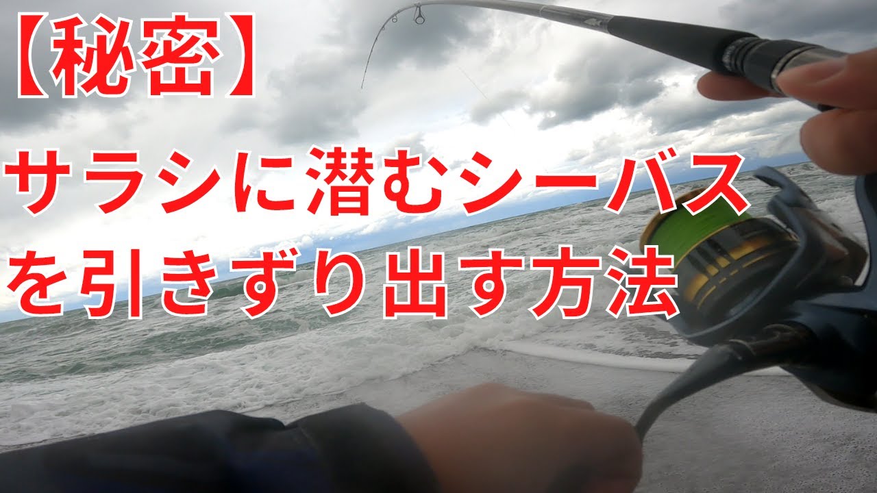 本当は教えたくないサラシの中でシーバスに口を使わせる方法
