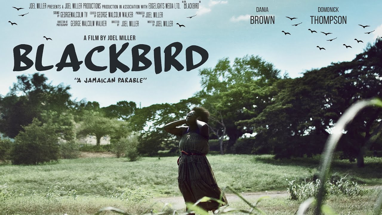 Joel Miller - Blackbird 2023 JCDC FIWI SHORT FILM COMPETITION