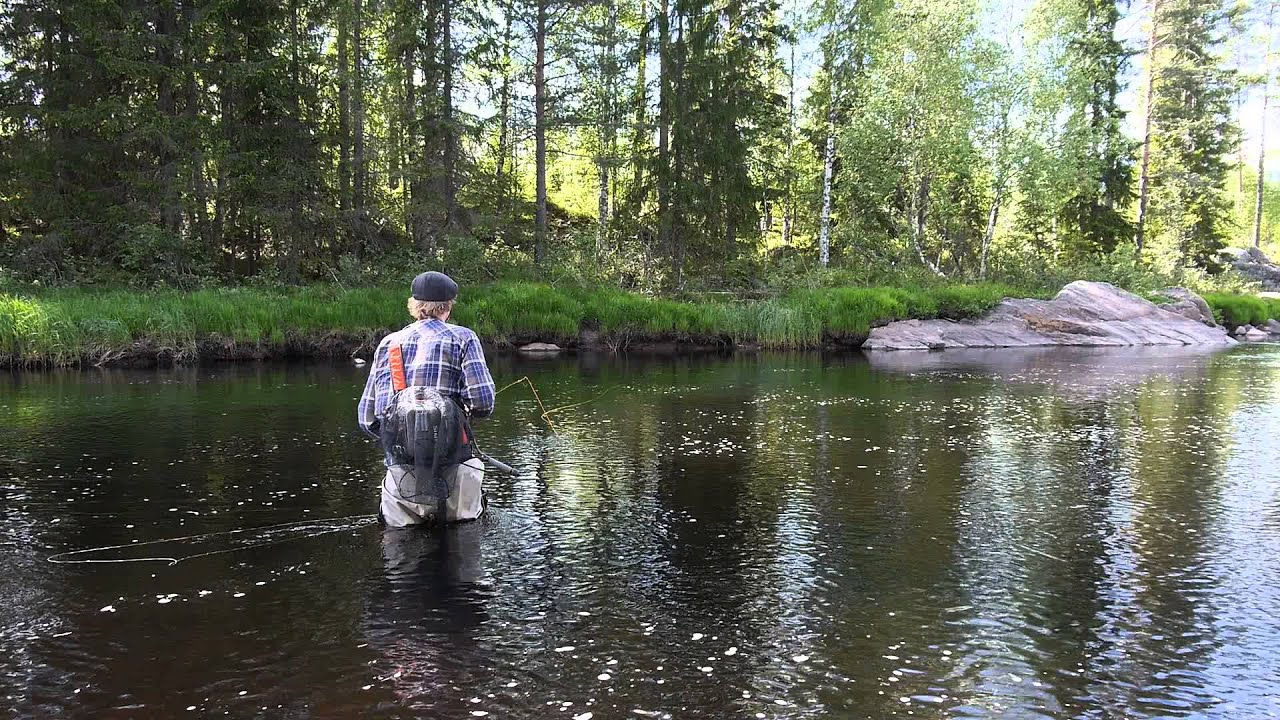 Fluefiske i Flisaelva