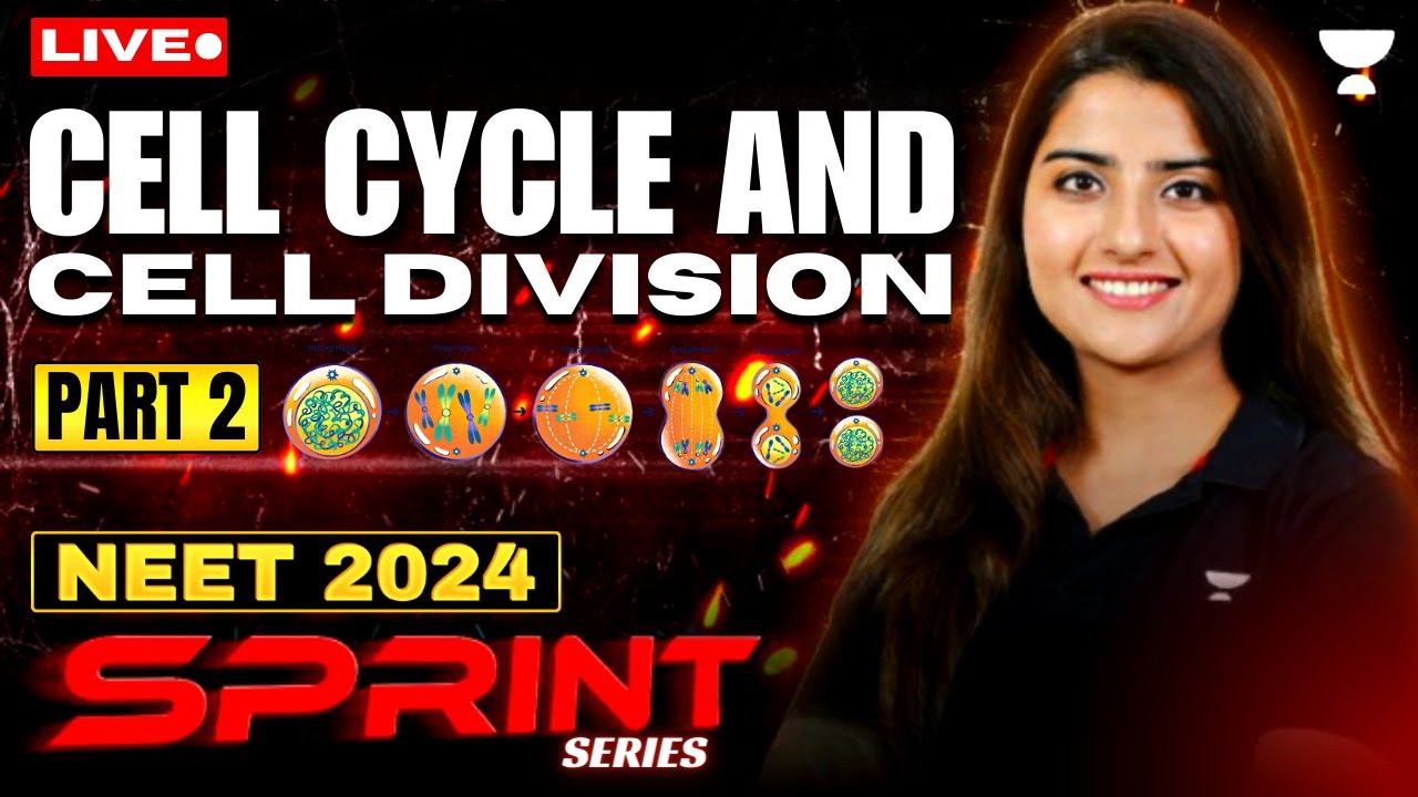 Cell Cycle and Cell Division - Part 2 | NEET 2024 Sprint Series | Seep Pahuja