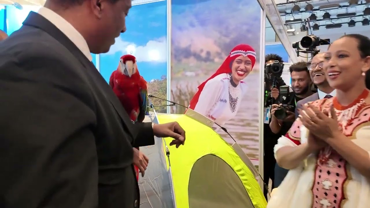 zazu advert to ethiopian tourism