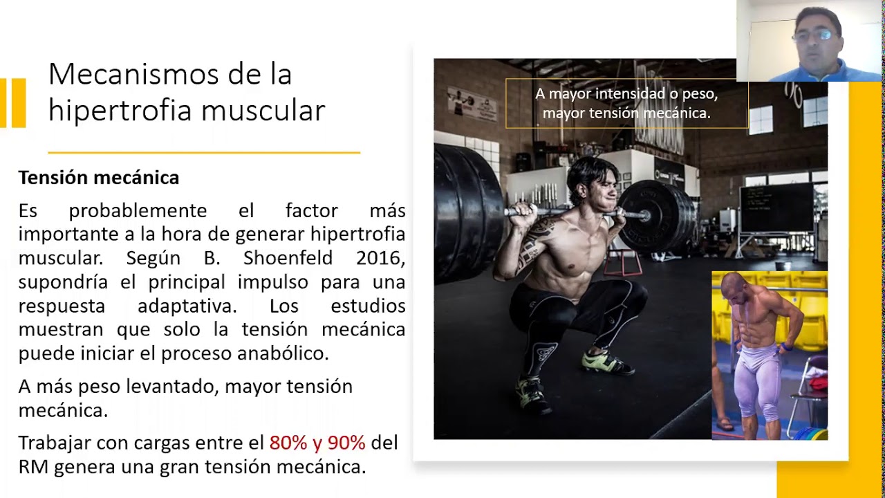 SOLO HIPERTROFIA, RESUMEN