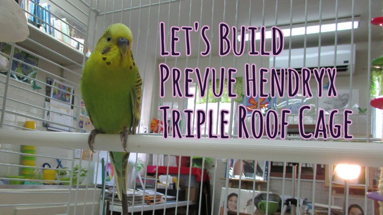 Let's Build Prevue Hendryx Cage