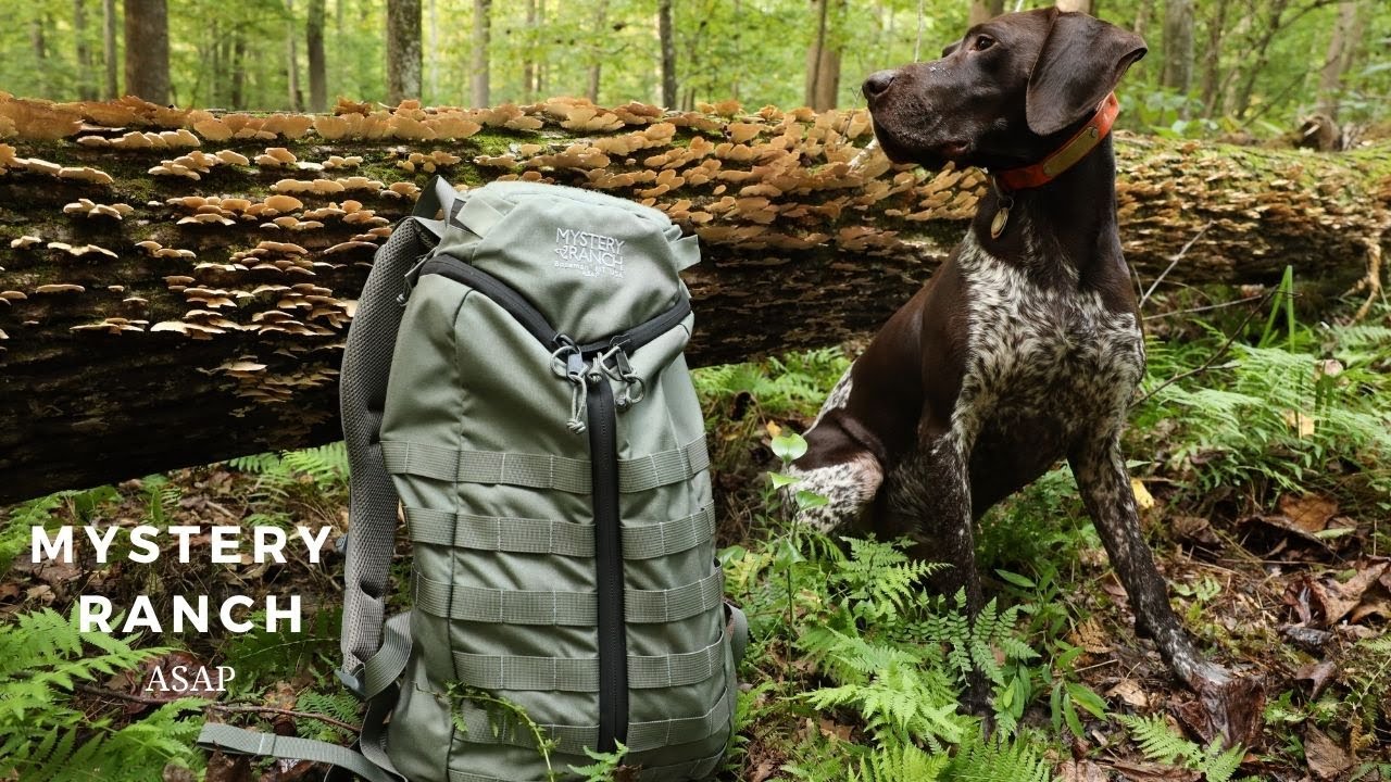 Mystery Ranch ASAP Backpack : The Tough Little Brother
