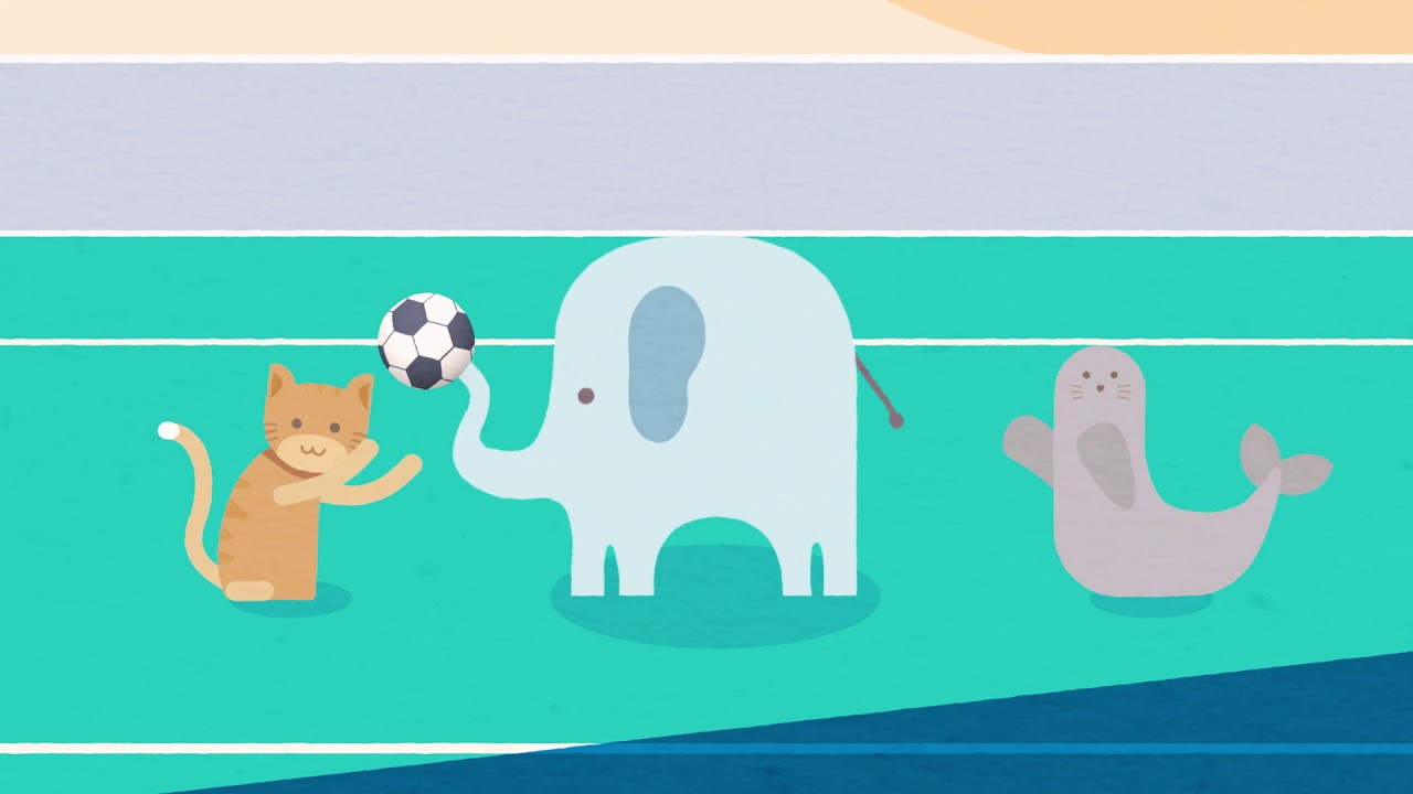 Nonlinear Pedagogy Explainer Video