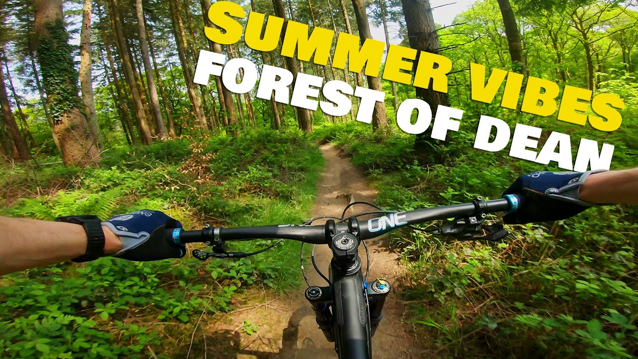 Sunny summer Saturday in the FoD! | Forest of Dean Mountain Biking
