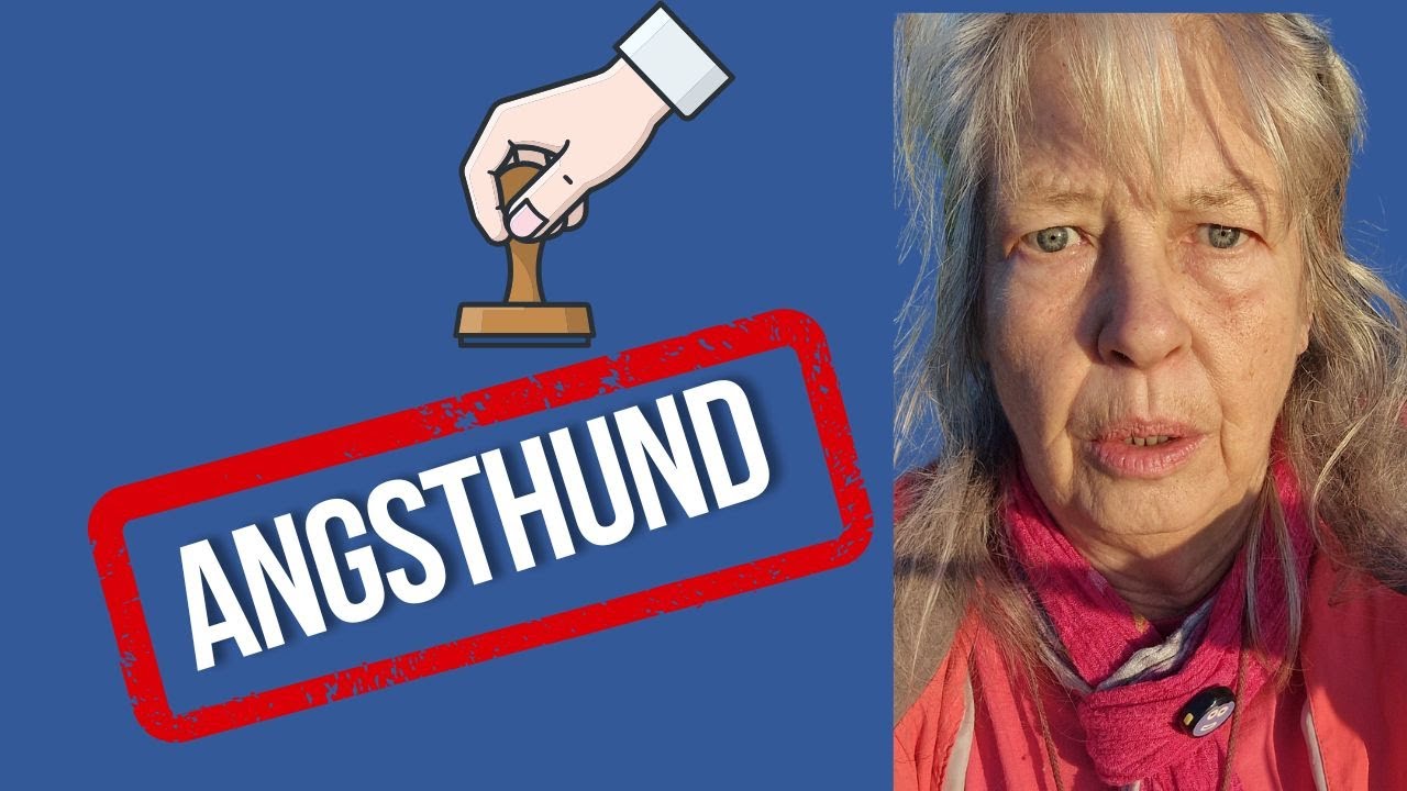 Du hast einen Angsthund? - Dann mach diesen Fehler nicht