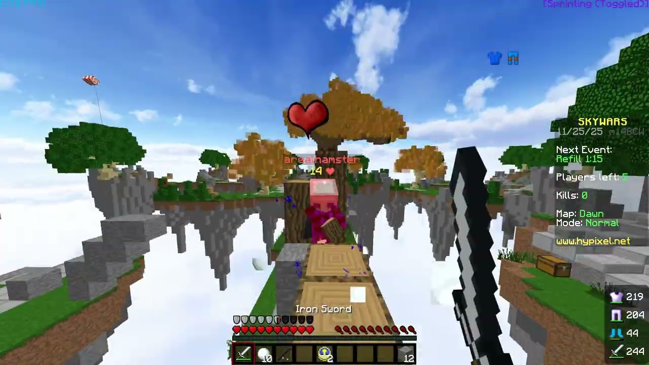 Modern Day (Hypixel Tage)