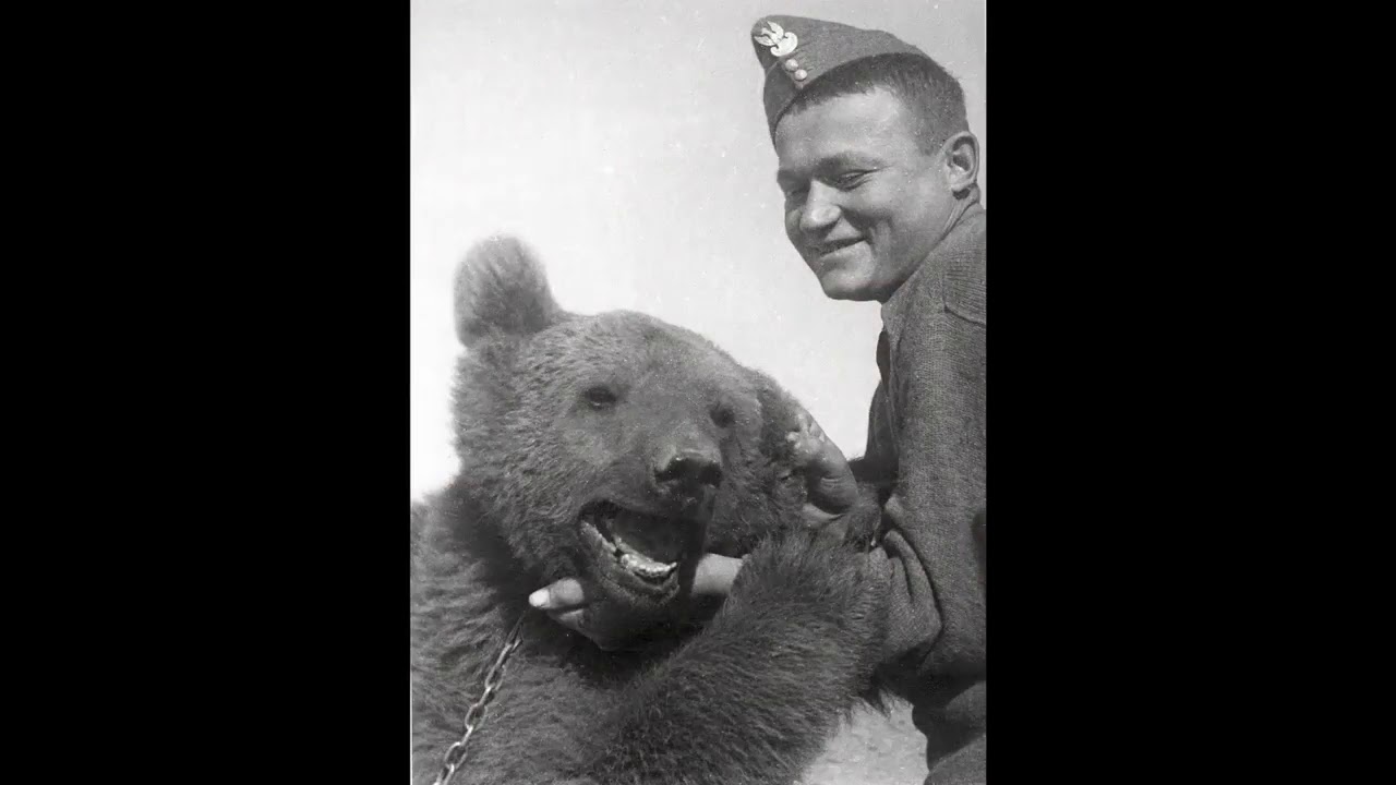 Łukasz Wierzbicki opowiada o niedźwiedziu Wojtku