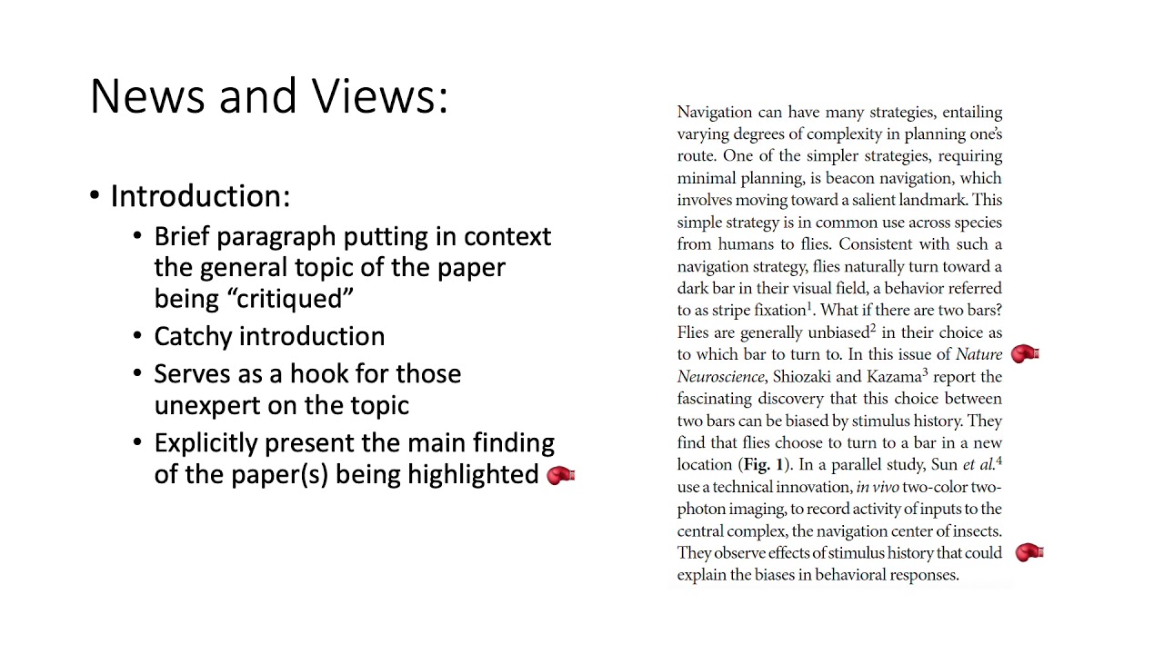 News and Views