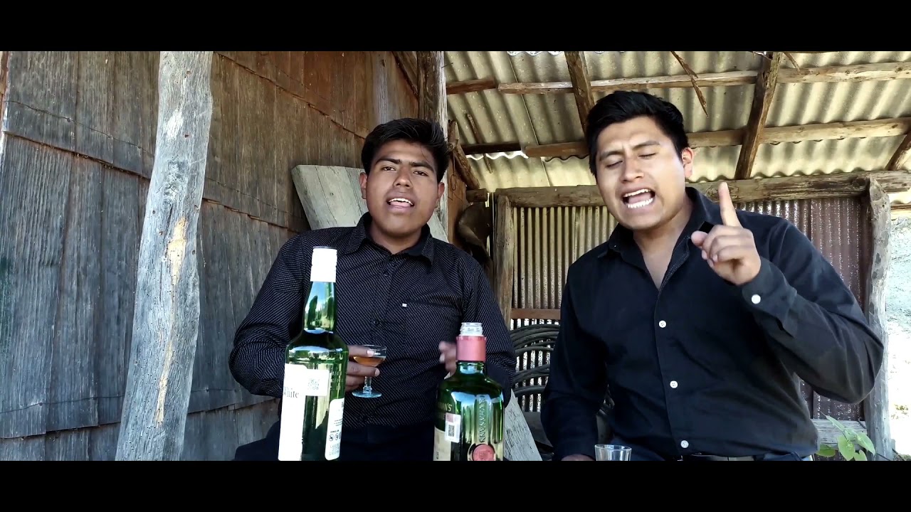 PUÑO DE TIERRA-LOS IMPONENTES DE TIERRA MIXTECA