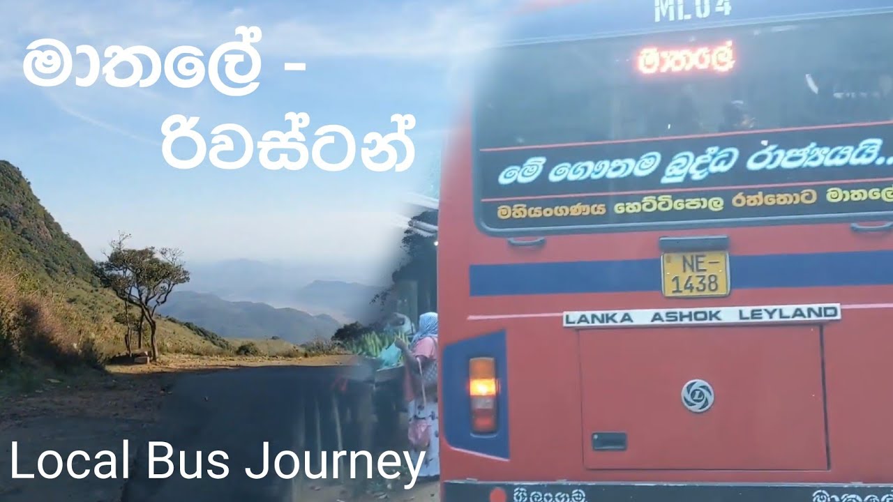 මාතලේ - රිවස්ටන් බස් එක 🤩🚍🏞️ | Matale to Riverston local bus journey