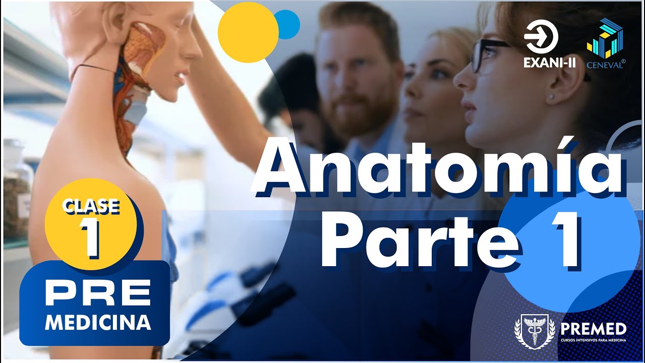 CURSO DE PREMEDICINA CLASE 1 ANATOM&Iacute;A 🫀