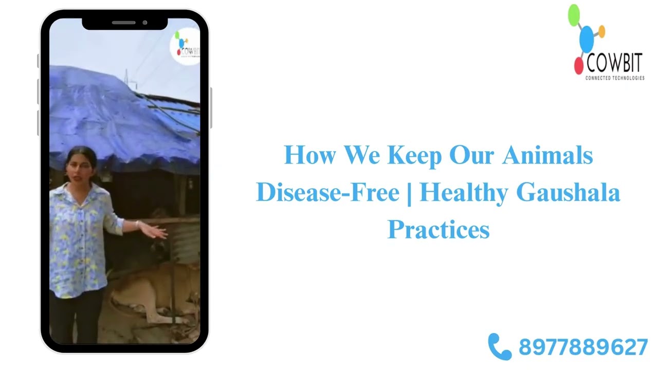 How to keep our Animals Disease Free