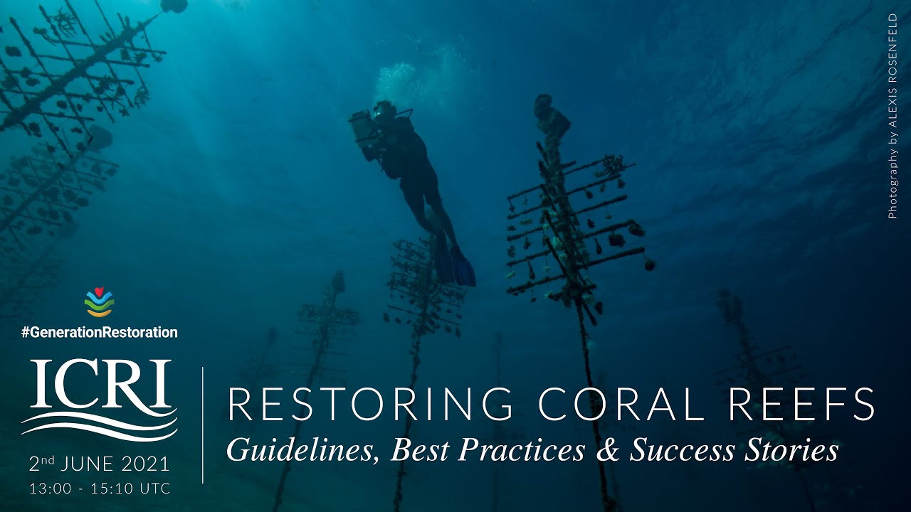 Restoring Coral Reefs: Guidelines, Best Practices and Success Stories