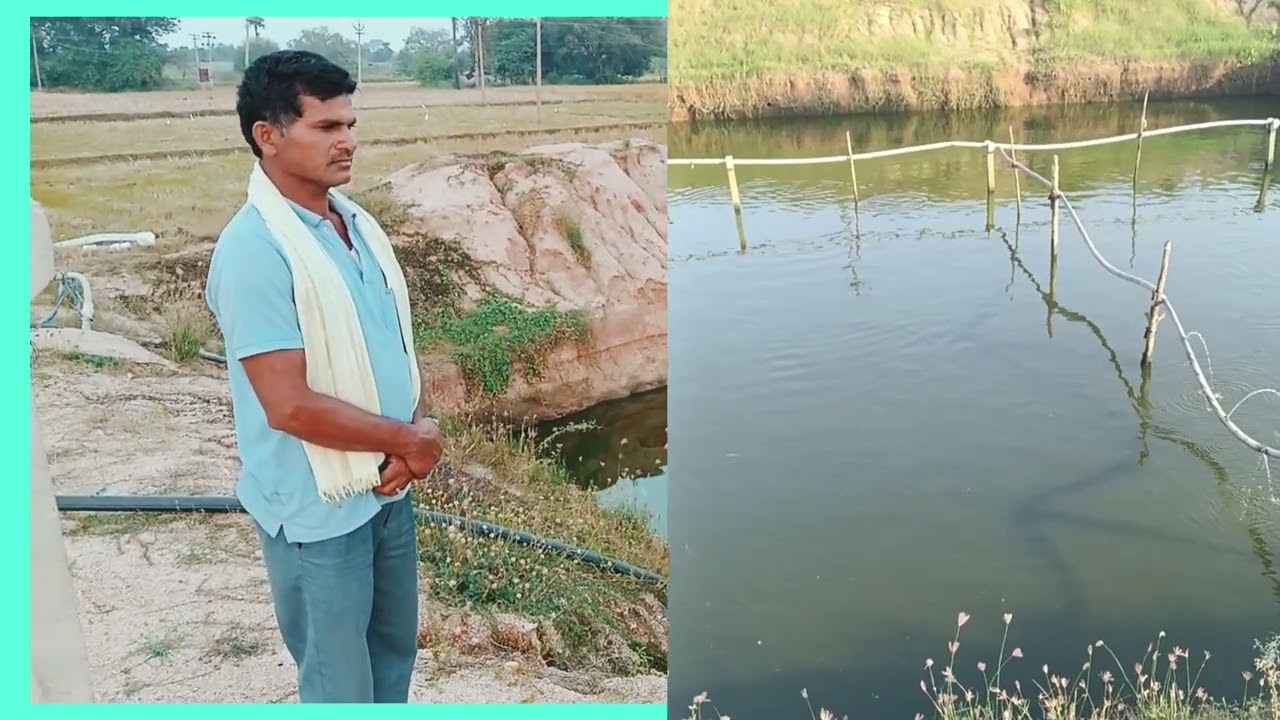 మూడు సంవత్సరాల నుంచి కోరమీను ఫార్మింగ్ చేస్తూ ముందుకు సాగుతున్న రైతు #9391466115