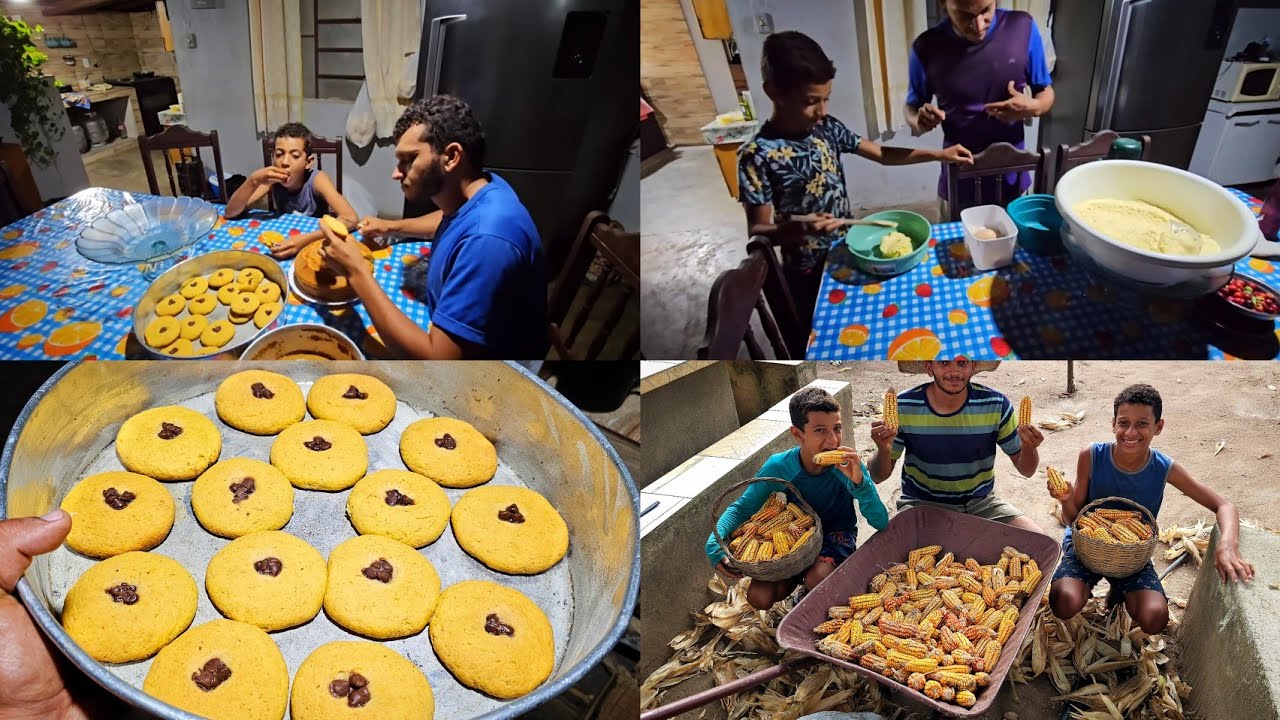 COLHEITA de milho seco // fazendo  fubá caseiro e receitas  com meus sobrinhos 