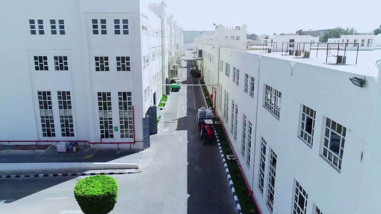 النساجون الشرقيون