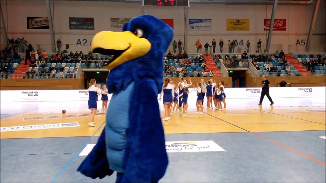 2015 bis 2017  unsere Cheerleader beim VfL...