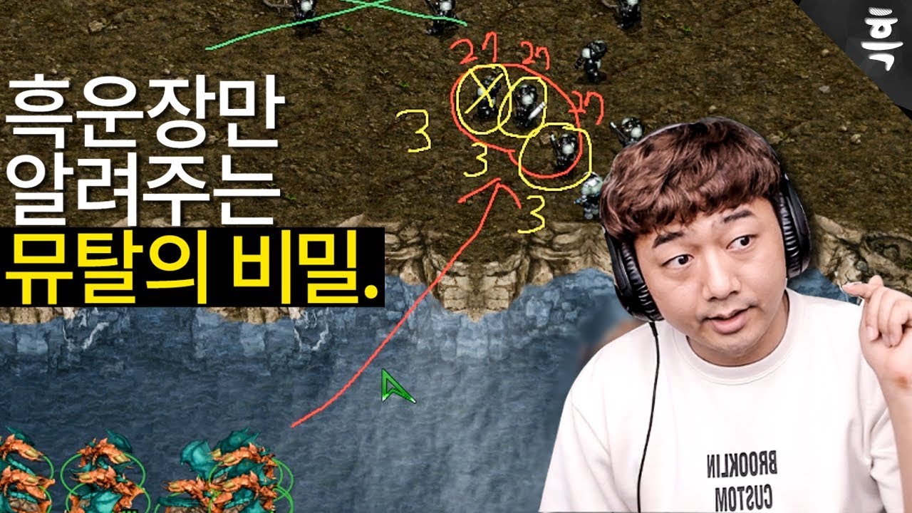 뮤탈에 대해 이 정도로 설명해주는 유튜브가 있었나요?