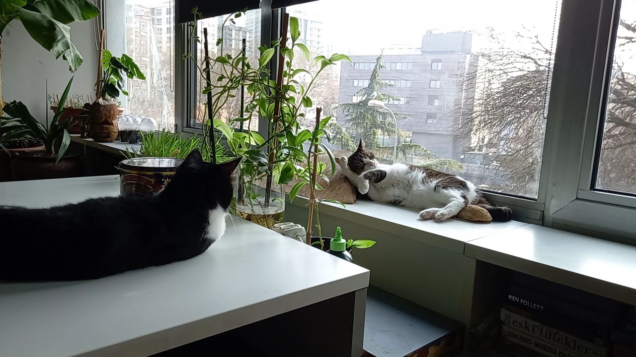 our favorite place in the house