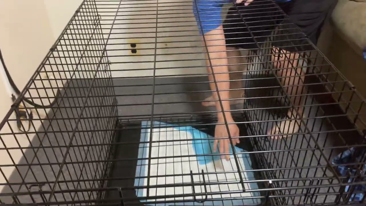 Assemble and disassemble Midwest iCrate cage
